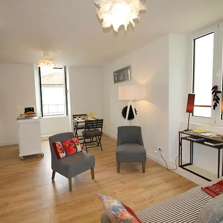 Superbe T2 Renove En Plein Centre Ville